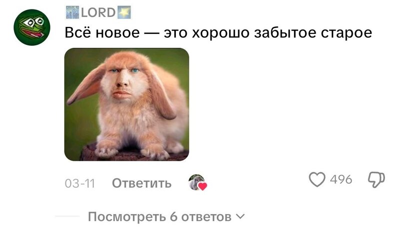 Комментаторы иронизируют над историей мема про котолика