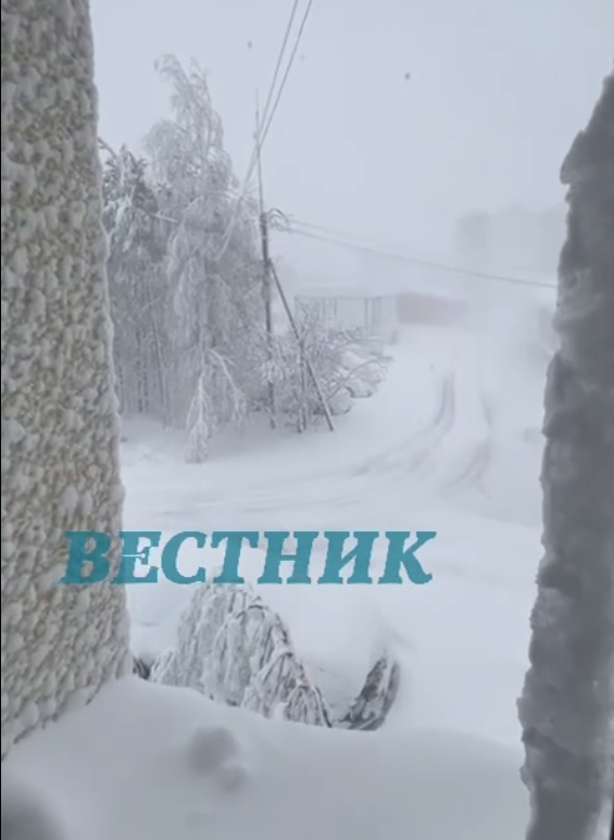Фото подписчика "Вестника"