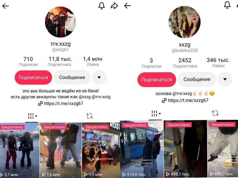 У девочек несколько общих страничек в социалььной сети под одним никнеймом