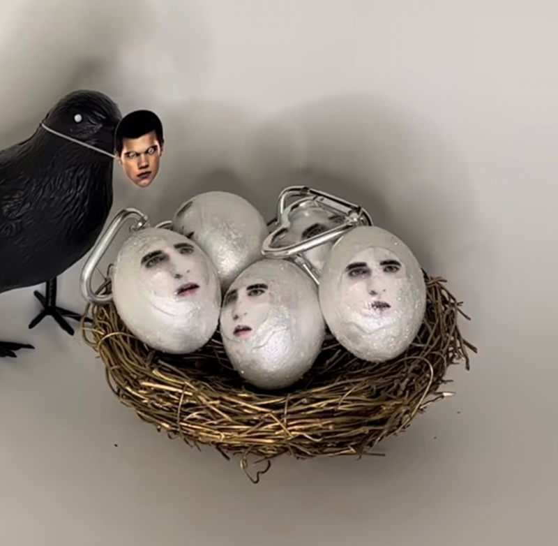 Фото из соцсетей/ stupid.alisa