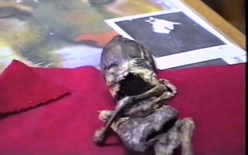 Скриншоты из видеоархива Владимира Бендлина