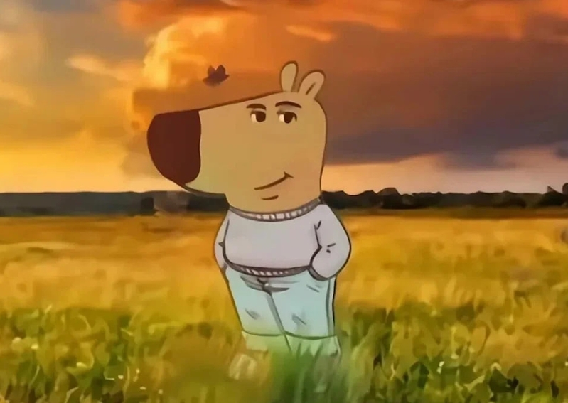 Мем про чилового парня, фото из открытых источников