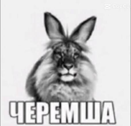 Мем с черемшой не имеет смысла