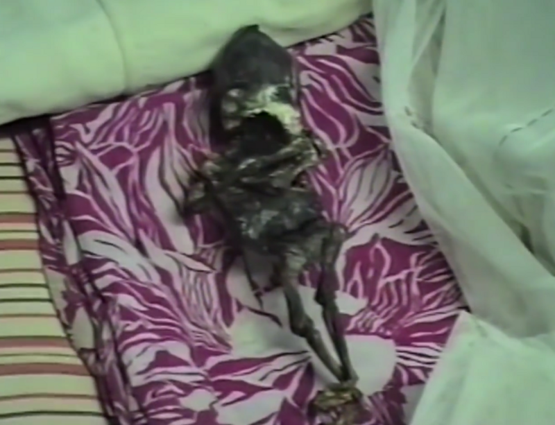 Скриншоты из видеоархива Владимира Бендлина