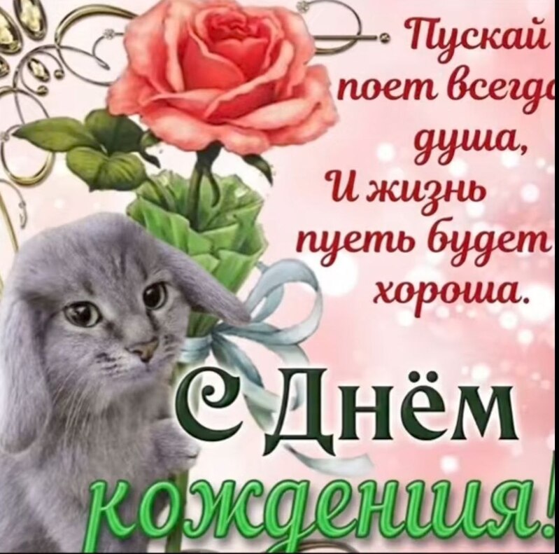 Мем с котоликом в духе открыток в мессенджерах