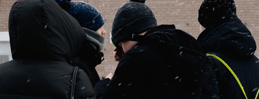 Школьники скупают вызывающий рак «наркотический» орех: маркетплейсы начали проверки