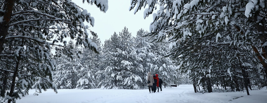 В ХМАО 31 декабря ожидается теплая и снежная погода