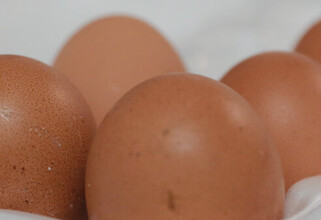 В ХМАО подорожали яйца перед Пасхой