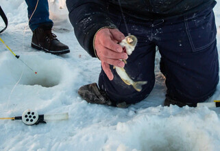 Баня, рыбалка, сафари с акулами: как отметить 23 февраля мужской компанией в ХМАО