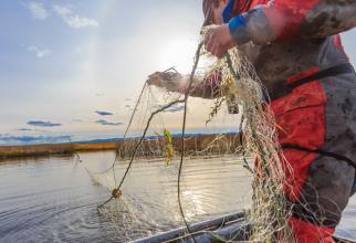 Два югорских браконьера за раз выловили рыбы на пять миллионов рублей