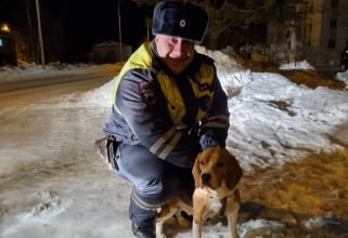 В Югре полиция помогла найти потерянную собаку