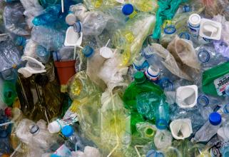 В Югре отсортировали почти 300 тонн пластика и чуть больше — стекла