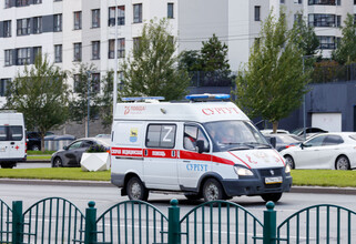 В ХМАО за один день экстренно госпитализировали двоих детей после укусов змей 
