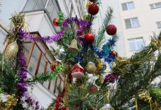 В Сургутском районе запускают конкурс на лучшее новогоднее оформление дворов