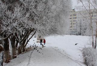 Школьники 1—8 классов второй смены в Нижневартовске остаются дома из-за актировки