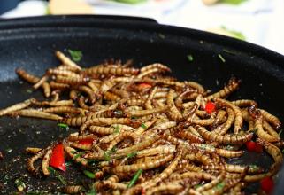 В Нижневартовске школьники нашли в еде червя