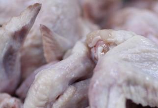 Птицефабрику «Белоярочка» оштрафовали на 300 тысяч рублей за продукцию с сальмонеллой