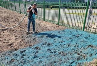 В Нижневартовске впервые распыляют жидкий газон на улицах // ВИДЕО