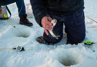 Стендап Амаряна и рыболовные соревнования: как развлечься на выходных в Сургуте и Сургутском районе