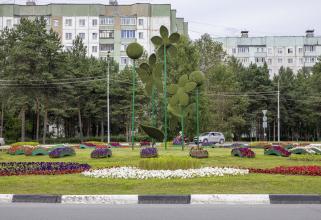 На городские клумбы Сургута этим летом высадят более 40 видов цветов