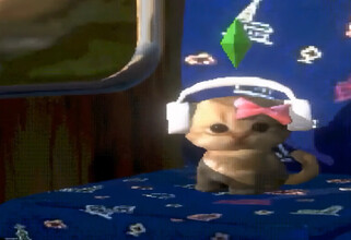 «Я звезда Ютуб»: зумеры возродили мем с котом в наушниках, который едет в поезде