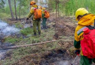 Югра вышла на первое место в России по площади лесных пожаров 