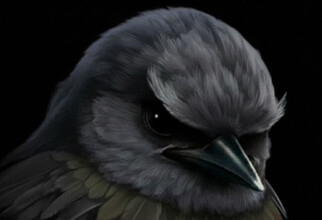 Тайна воробьев: ученые пришли к необычному итогу переписи птиц в ХМАО