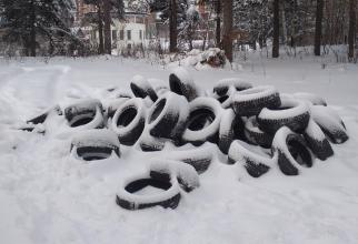 В Сургуте в парке «За Саймой» нашли свалку автомобильных покрышек