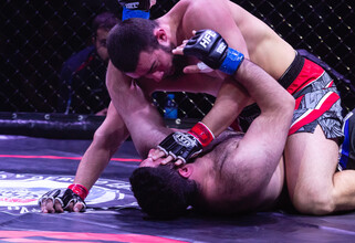 Массовую драку устроили зрители на турнире MMA в Сургуте