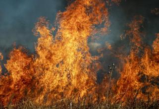 В Югре произошел первый в этом году ландшафтный пожар