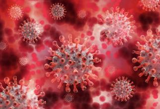 В депздраве Югры заявили о появлении в регионе дельта-штамма коронавируса