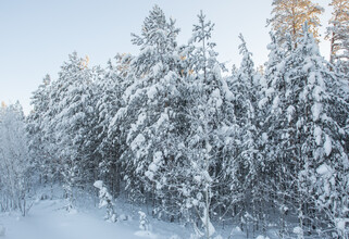 В Сургуте 19 декабря для всех школьников объявили актировку - на улице аномальный мороз