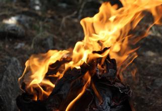 Сезон охоты в Югре могут закрыть раньше обычного срока из-за пожаров