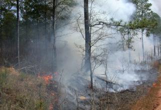 Площадь лесных пожаров в Югре превысила 100 тысяч гектаров
