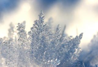 В Югру идут морозы: 10 ноября температура опустится до -15 градусов, а к выходным — до -27
