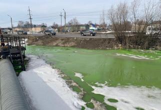 В Нефтеюганске разлили уранин — вода в одном из оврагов окрасилась в кислотно-зеленый цвет