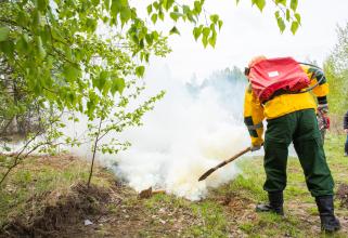 Из-за гроз в Сургутском районе в два раза чаще по сравнению с прошлым годом возникают лесные пожары