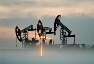 В Югре компания «РН-Няганьнефтегаз» заплатила более двух миллионов рублей за разлив нефти