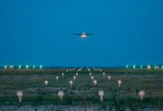Самолет Utair столкнулся с птицей по пути из Омска в Сургут