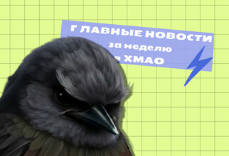 Перепись воробьев и топор в школе: самые обсуждаемые новости ХМАО за неделю