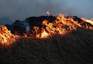 В Сургутском районе потушили первый в этом году природный пожар 