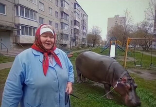 ИИ-бабушки и хайповое мороженое: главные мемы июня