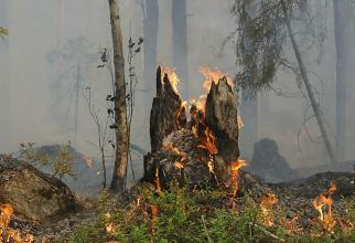 Больше всего пожаров в Югре ожидают в августе