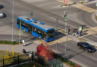 Новую систему общественного транспорта в Сургуте могут скорректировать 