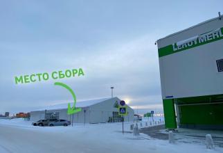 В Сургуте 15 января можно будет сдать елки на утилизацию