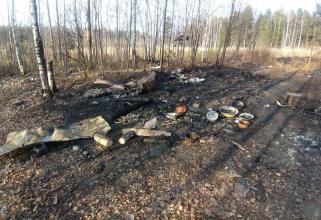 За неделю в Югре на пожарах погибло три человека