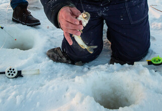 Югорчанка сидела в ледяной воде и ловила рыбу руками