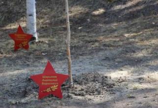 В Лянторе Сургутского района новым деревцем пополнилась аллея Боевой Славы