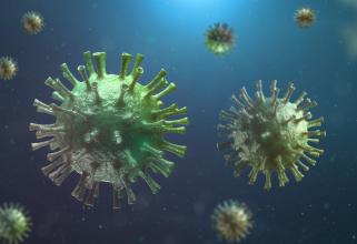 Житель Югры заразился новым штаммом коронавируса — омикроном
