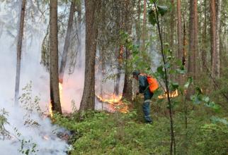В Югре потушили последние два лесных пожара